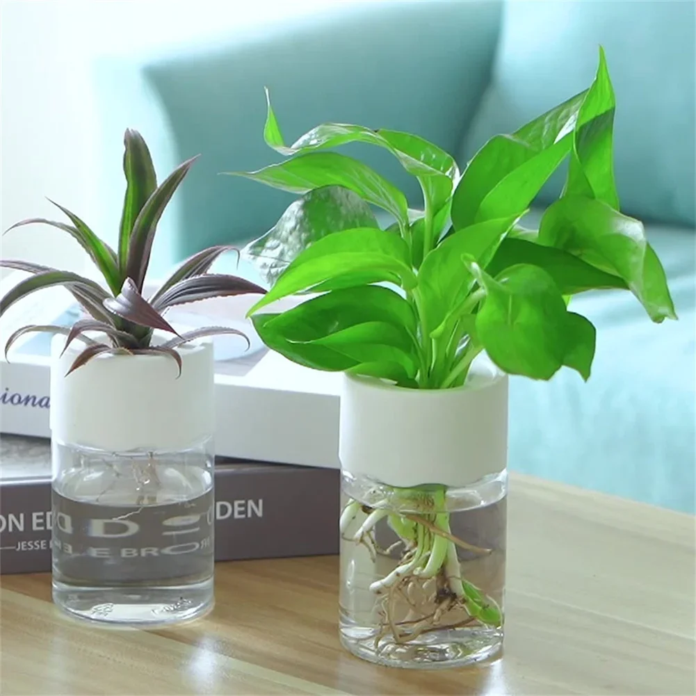 Hydroponic Grow Pod - Mini Hydroponischer Blumentopf Transparente Pflanzenvase ohne