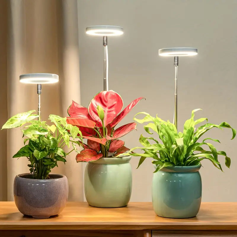 LED-Wachstumslicht, Vollspektr – Indoor Garden Kit Bewertung und Preis