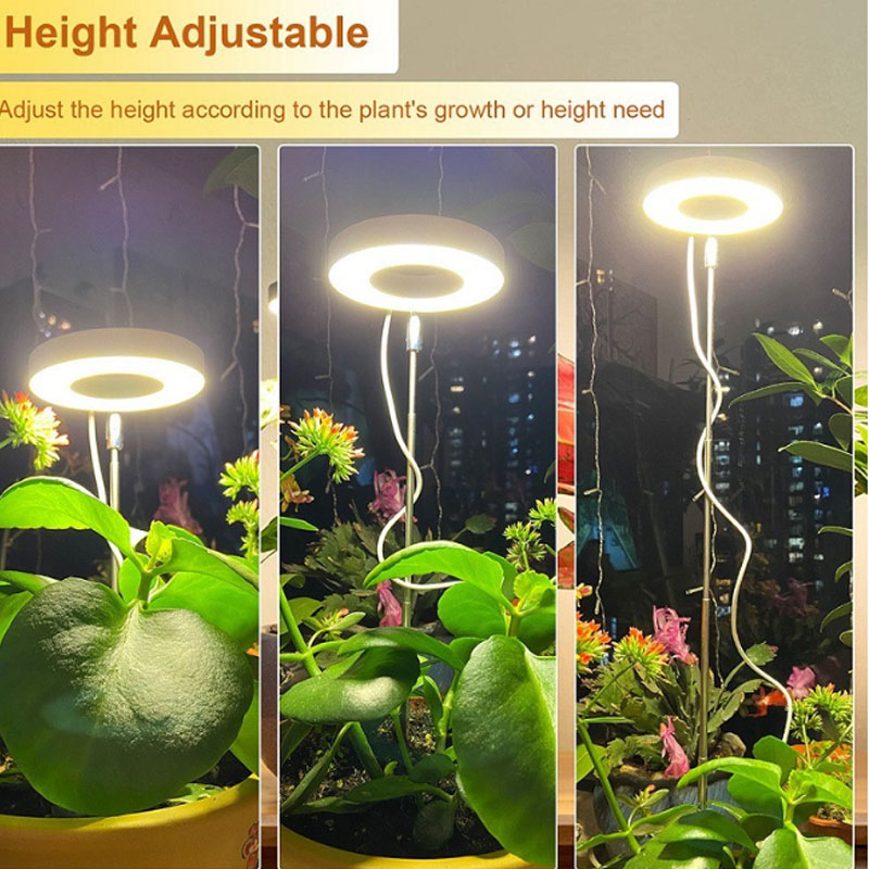 LED-Wachstumslicht, Vollspektr – Indoor Garden Kit Bewertung und Preis