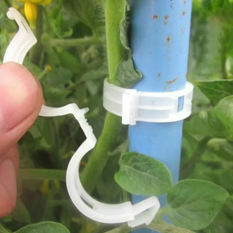 Pflanzenstützclips Wiederverwe – Smart Garden Kit Bewertung und Preis