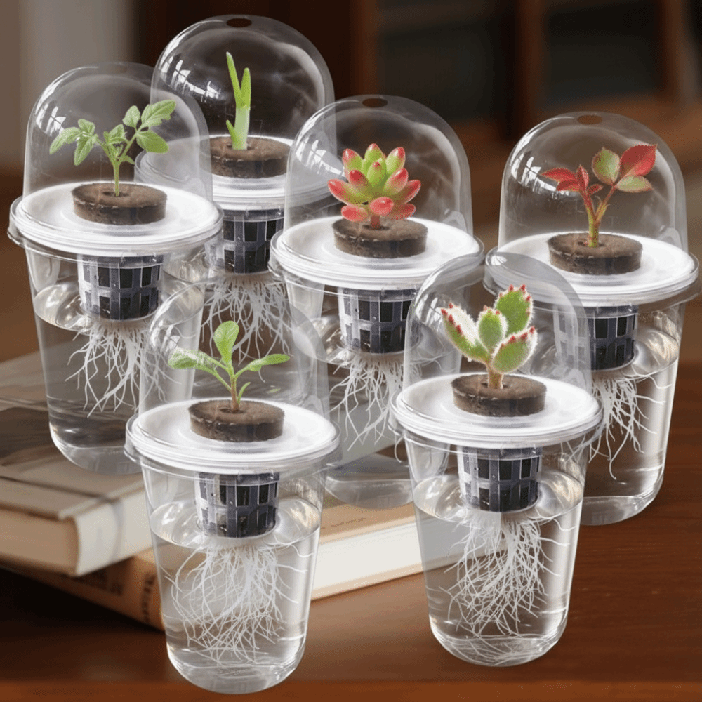 1-5 Stück Transparente Pflanze – Hydroponic Grow Pod Bewertung und Preis
